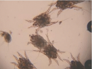 341717035674909.png 1111.png